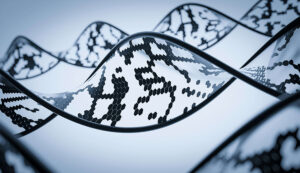 Genoma_no_codificante